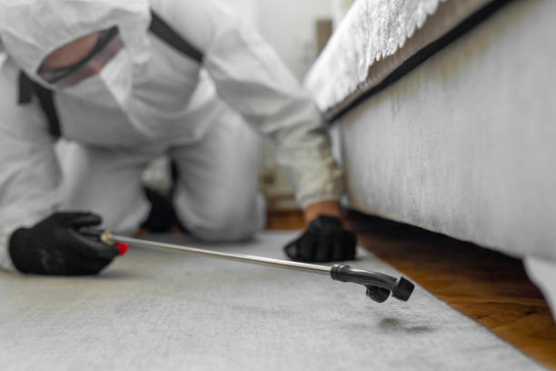 Professional Termite Control technician working in Culver, OR