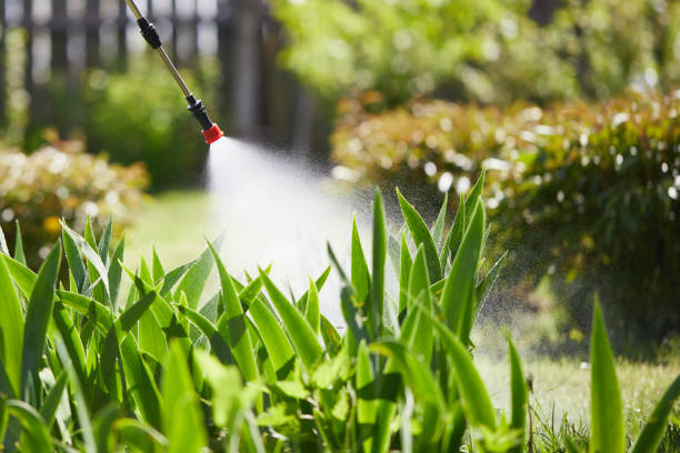 24/7 Emergency Termite Control experts in Culver, OR