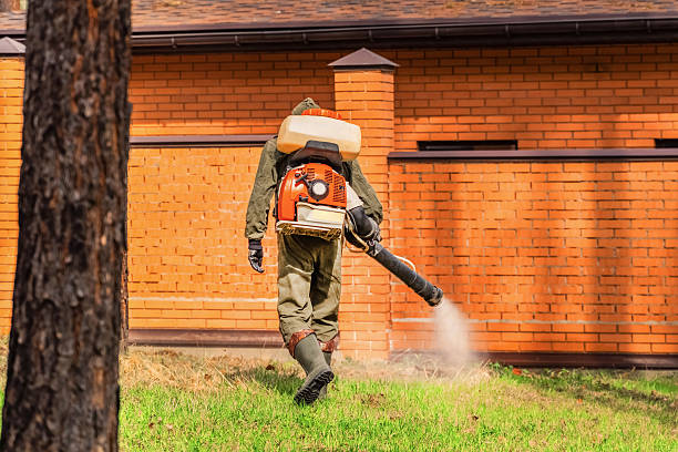 Top rated local Termite Control specialists in Culver, OR